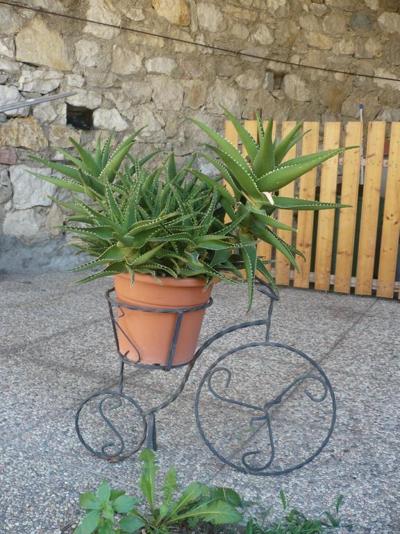 Appartamento Michela Brenzone sul Garda Værelse billede