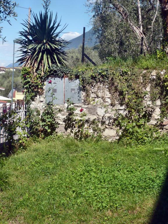 Appartamento Michela Brenzone sul Garda Værelse billede