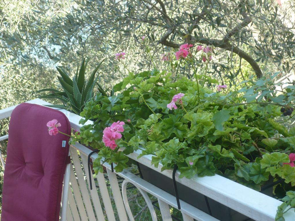 Appartamento Michela Brenzone sul Garda Værelse billede